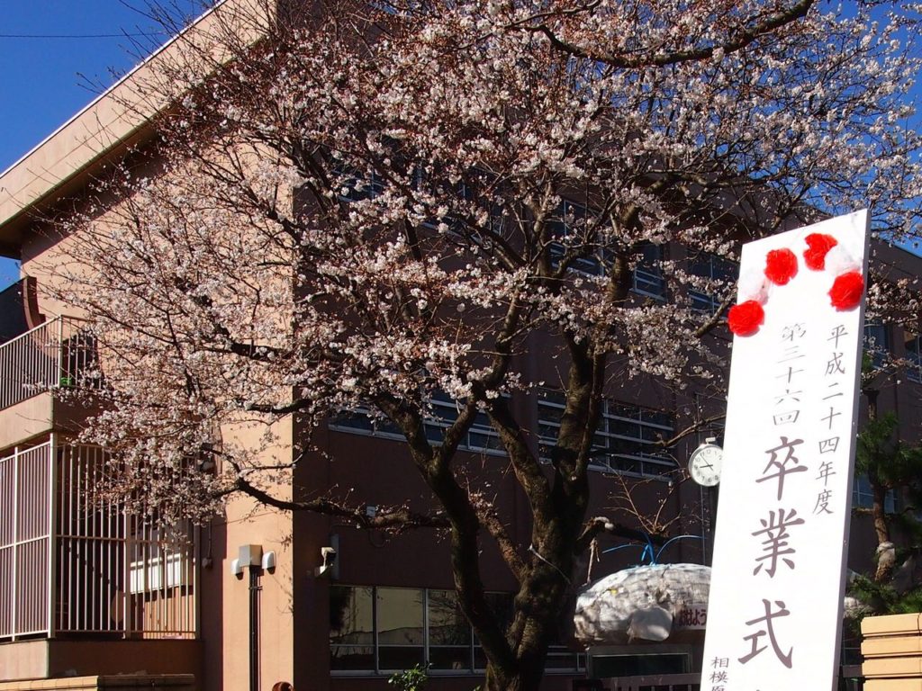 卒業式だった。美女「私のリボンもらってくれますか？」俺「…え？あ、ありがと」　→　数日後、美女「…ごめん、返して」俺（！？）　なんと…