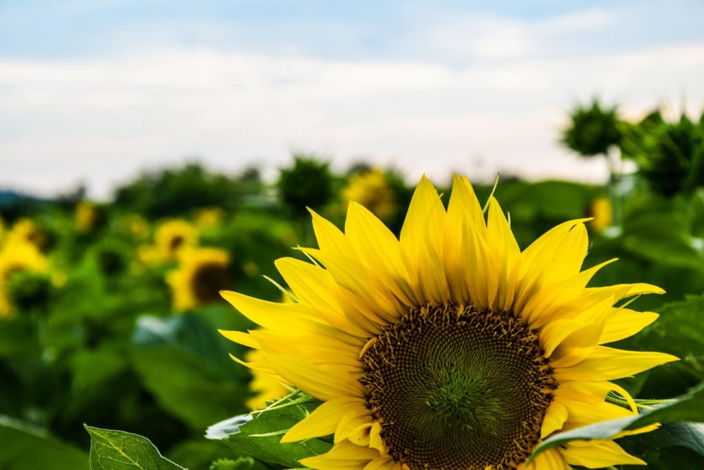 彼女「結婚しようね」俺「しよう！…あと言い忘れていたけど、実はオレ親族がいなくて天涯孤独なんだ」　彼女「え！？」　→　なんと……..